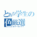 とある学生の色厳選（カラーセレクト）