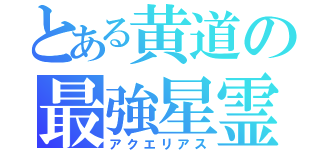 とある黄道の最強星霊（アクエリアス）