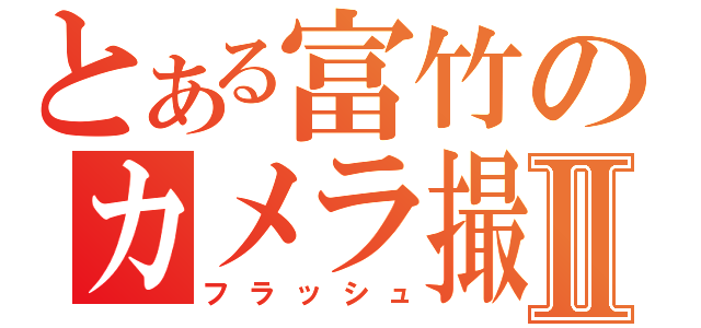 とある富竹のカメラ撮影Ⅱ（フラッシュ）