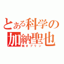 とある科学の加納聖也（焼きプリン）