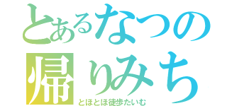 とあるなつの帰りみち（とほとほ徒歩たいむ）