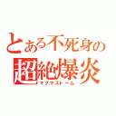 とある不死身の超絶爆炎（マグマストーム）