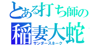 とある打ち師の稲妻大蛇（サンダースネーク）