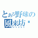 とある野球の風来坊☣（ナイスガイ）