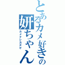 とあるカメ好きの妍ちゃん（カメナシカズヤ）