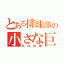 とある排球部の小さな巨人（日向翔陽）