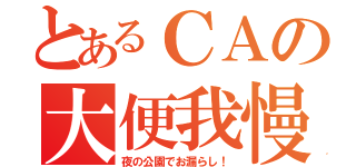 とあるＣＡの大便我慢（夜の公園でお漏らし！）