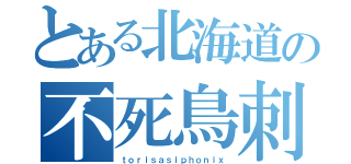 とある北海道の不死鳥刺（ｔｏｒｉｓａｓｉｐｈｏｎｉｘ）