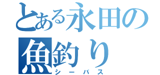 とある永田の魚釣り（シーバス）