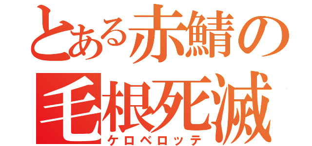 とある赤鯖の毛根死滅（ケロベロッテ）