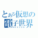 とある仮想の電子世界（マトリックス）