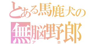 とある馬鹿犬の無脳野郎（アホ）