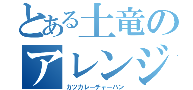 とある土竜のアレンジ（カツカレーチャーハン）