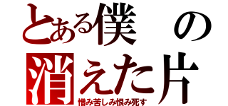 とある僕の消えた片目（憎み苦しみ恨み死す）