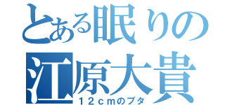 とある眠りの江原大貴（１２ｃｍのブタ）