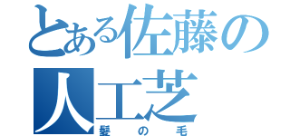 とある佐藤の人工芝（髪の毛）