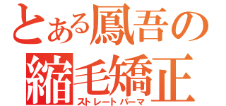 とある鳳吾の縮毛矯正（ストレートパーマ）