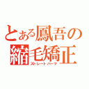 とある鳳吾の縮毛矯正（ストレートパーマ）