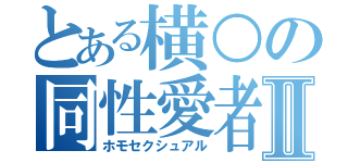 とある横○の同性愛者Ⅱ（ホモセクシュアル）