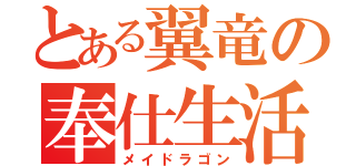 とある翼竜の奉仕生活（メイドラゴン）