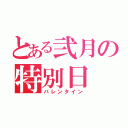 とある弐月の特別日（バレンタイン）