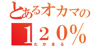 とあるオカマの１２０％エロ番長（たかまる）