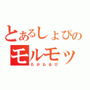 とあるしょぴのモルモット（たかもるぴ）