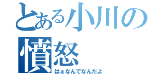 とある小川の憤怒（はぁなんでなんだよ）