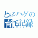 とあるハゲの育毛記録（波平だな）