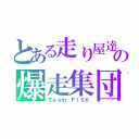 とある走り屋達の爆走集団（Ｔｅａｍ ＦＩＳＫ）