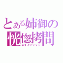 とある姉御の恍惚拷問（スタイリッシュ）