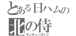 とある日ハムの北の侍（サンキューガッツ）