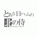 とある日ハムの北の侍（サンキューガッツ）