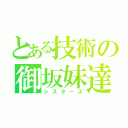 とある技術の御坂妹達（シスターズ）