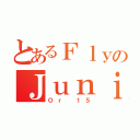 とあるＦｌｙのＪｕｎｉ（Ｏｒ １５）