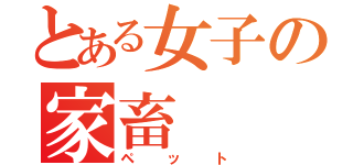 とある女子の家畜（ペット）