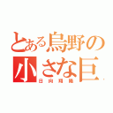 とある烏野の小さな巨人（日向翔陽）