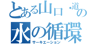 とある山口・道中の水の循環（サーキエーション）