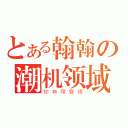 とある翰翰の潮机领域（你有帶覺悟）