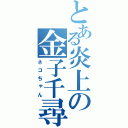 とある炎上の金子千尋（ネコちゃん）