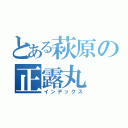 とある萩原の正露丸（インデックス）