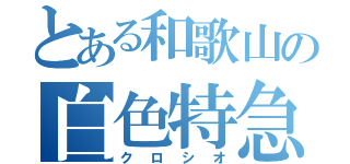 とある和歌山の白色特急（クロシオ）