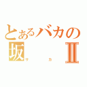 とあるバカの坂Ⅱ（サカ）