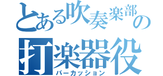 とある吹奏楽部の打楽器役（パーカッション）