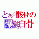 とある骸骨の爆髪白骨（ソウルキング）