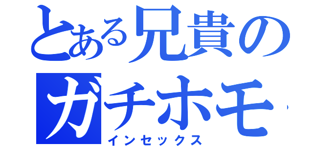 とある兄貴のガチホモ（インセックス）