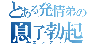 とある発情弟の息子勃起（エレクト）