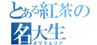 とある紅茶の名大生（ヌワラエリア）