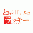 とある日、犬のラッキー（キミの元に）