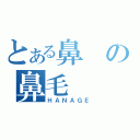 とある鼻の鼻毛（ＨＡＮＡＧＥ）